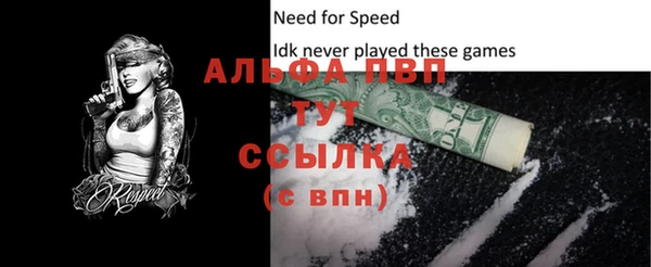 молекула духа Балахна