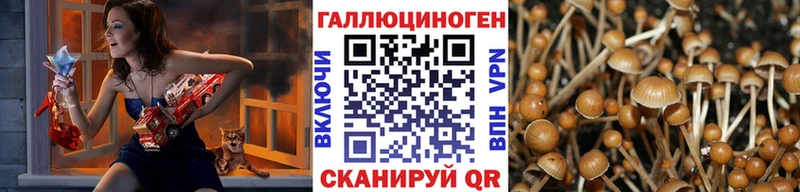 купить наркотик Фатеж Псилоцибиновые грибы мицелий
